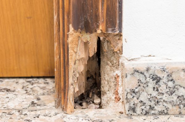 Rotting Door Repair in Allentown