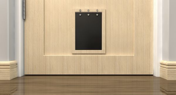 Dog Door Replacement in Allentown